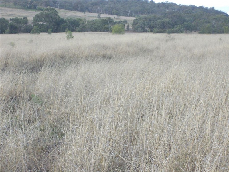 125 Carrington Road, Torrington QLD 4350