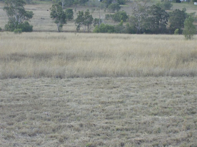 125 Carrington Road, Torrington QLD 4350