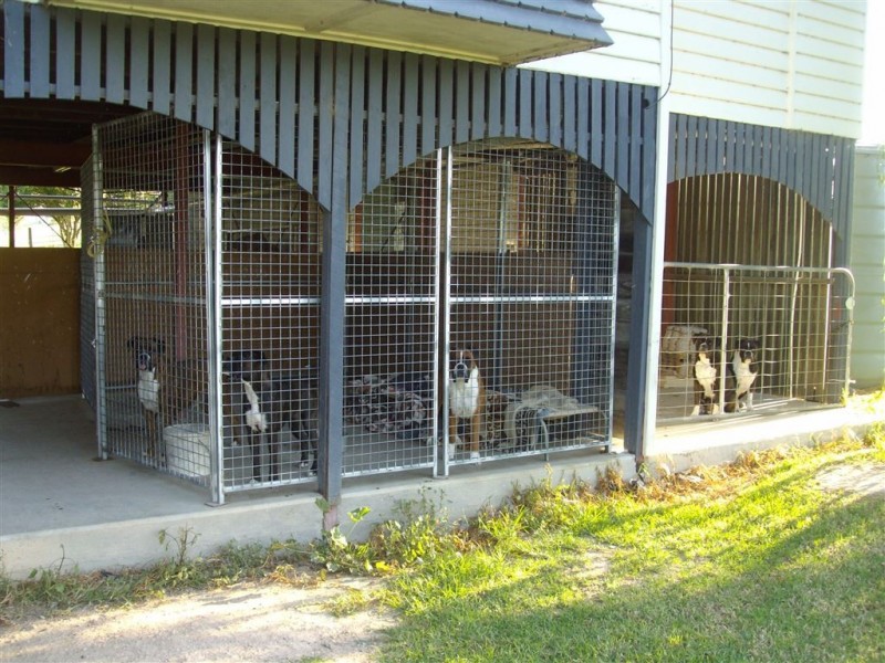 31 Macginley Road, Greenmount East QLD 4359