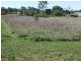 119 Glennie Street, Drayton QLD 4350