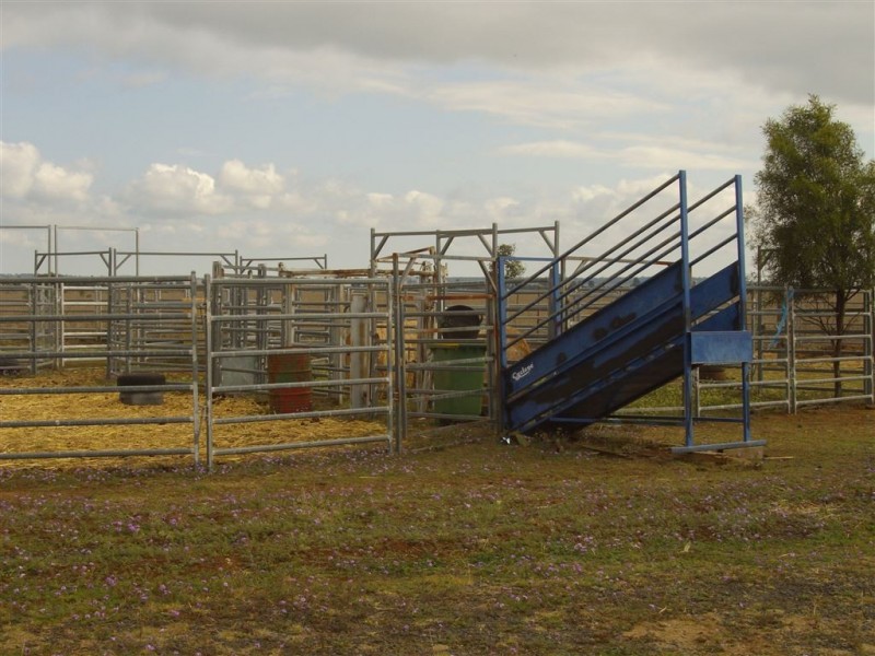 - Devon Park Boundary Road, Oakey QLD 4401