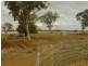- Devon Park Boundary Road, Oakey QLD 4401