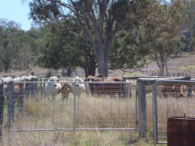 Lot 2 Peters Road, Groomsville QLD 4352