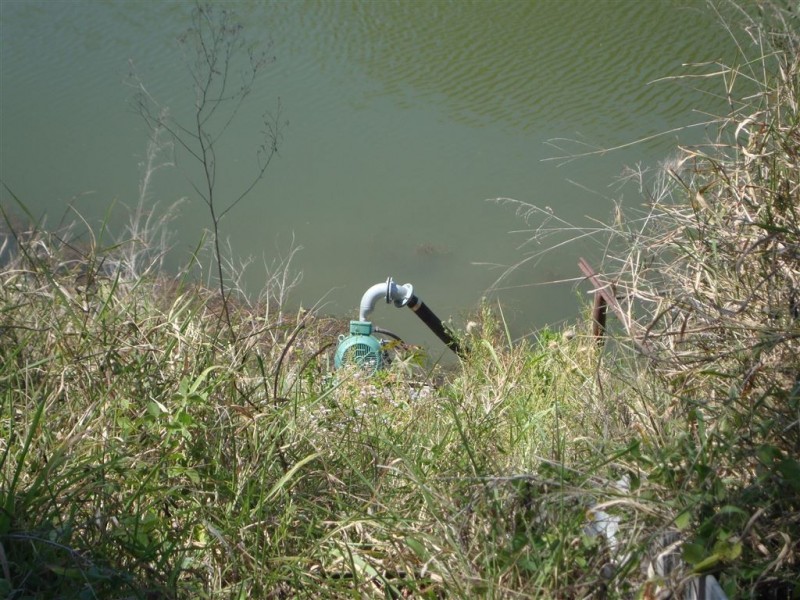 114 Forest Hill – Fernvale Road, Glenore Grove QLD 4342