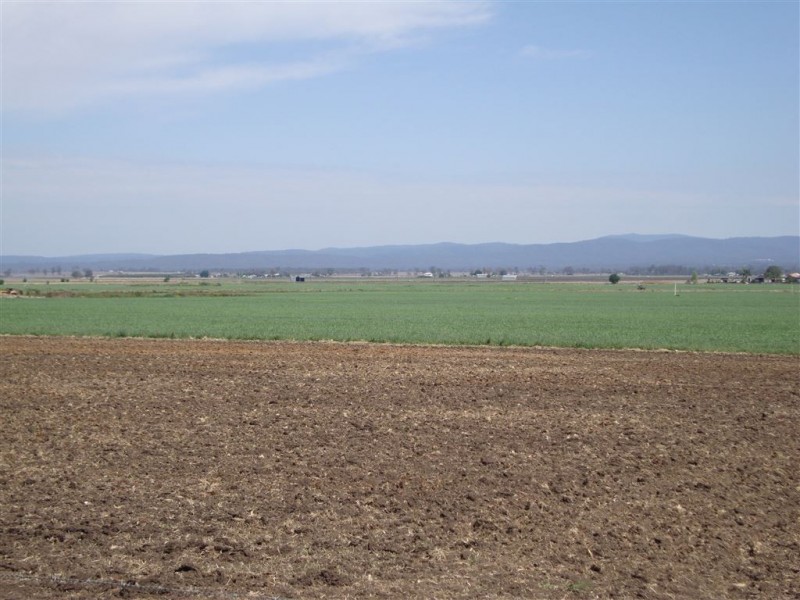 114 Forest Hill – Fernvale Road, Glenore Grove QLD 4342