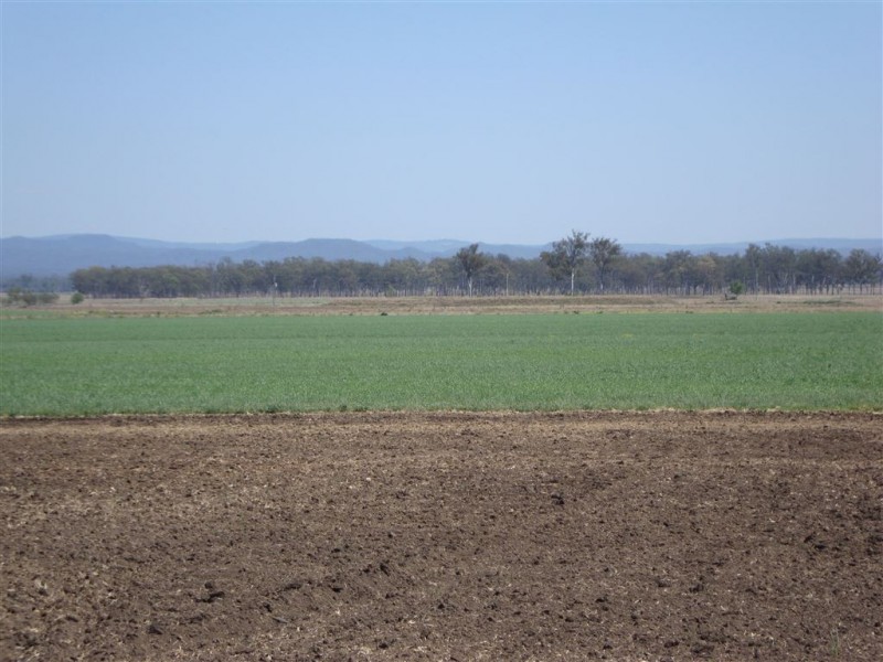 114 Forest Hill – Fernvale Road, Glenore Grove QLD 4342