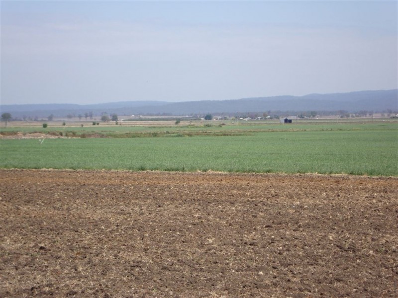 114 Forest Hill – Fernvale Road, Glenore Grove QLD 4342