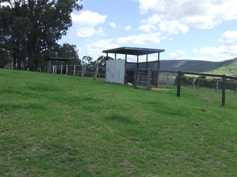 87 Lagoon Creek Road, West Haldon QLD 4359