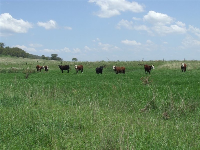 Lot 4 McGovern Road, Headington Hill QLD 4361