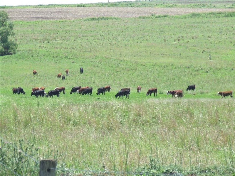 Lot 4 McGovern Road, Headington Hill QLD 4361