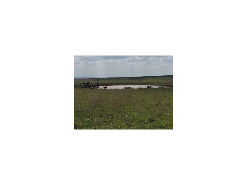 Lot 4 McGovern Road, Headington Hill QLD 4361