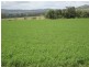 442 O’Connor Road, Haden QLD 4353