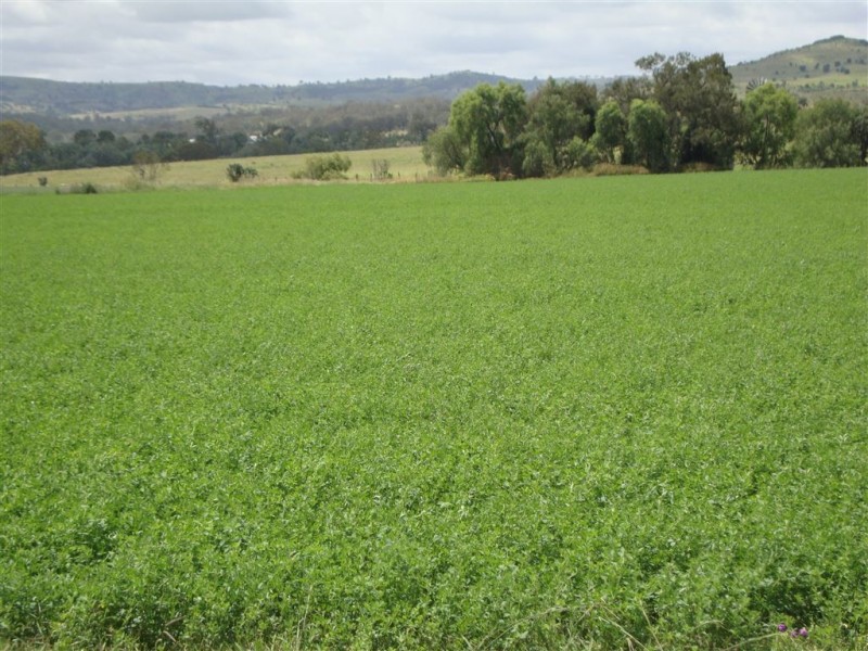 442 O’Connor Road, Haden QLD 4353