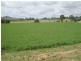 442 O’Connor Road, Haden QLD 4353
