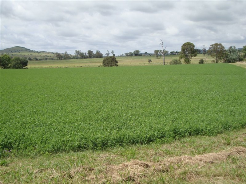 442 O’Connor Road, Haden QLD 4353