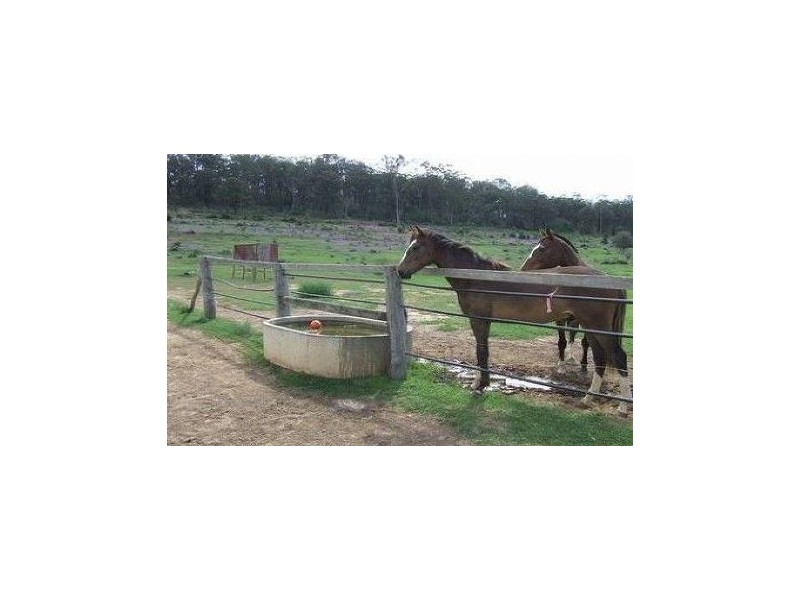 79 Rummells Road, Goombungee QLD 4354