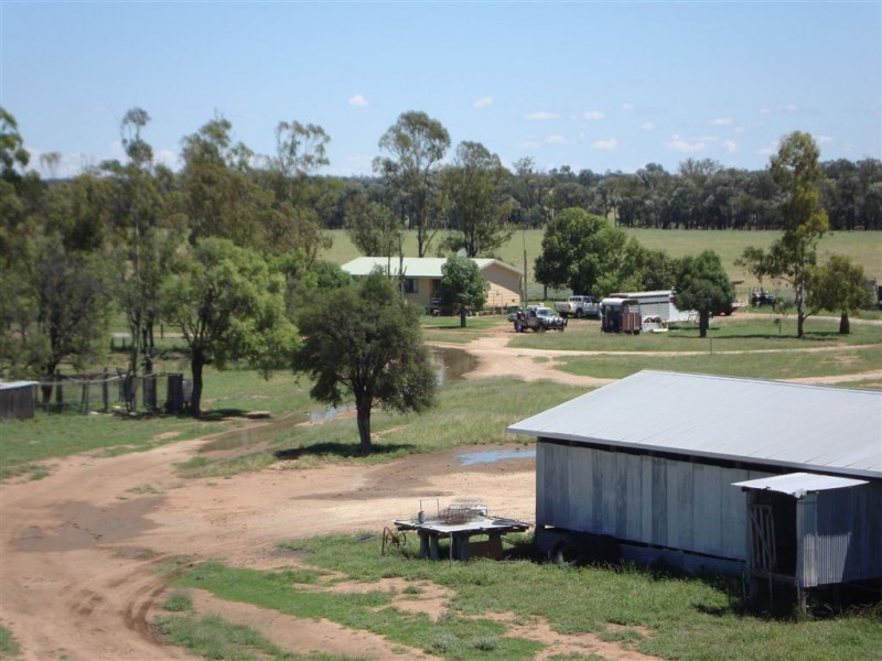 44621 Leichardt Highway, Condamine QLD 4416