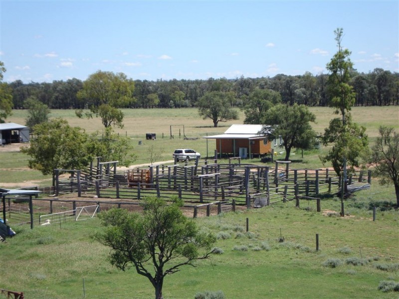 44621 Leichardt Highway, Condamine QLD 4416