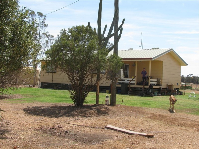 44621 Leichardt Highway, Condamine QLD 4416