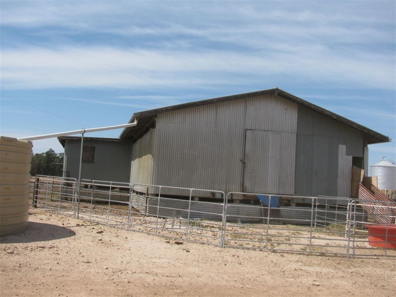 44621 Leichardt Highway, Condamine QLD 4416