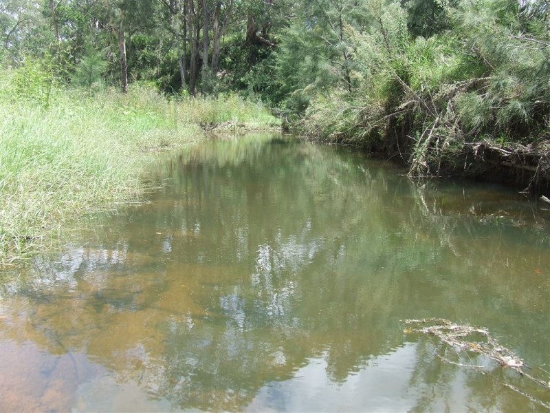 1508 Pierce Creek Road, Crows Nest QLD 4355