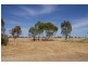 47 Mckenzie Street, Millmerran QLD 4357