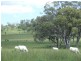 - Goombungee Dam Road, Goombungee QLD 4354