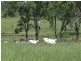- Goombungee Dam Road, Goombungee QLD 4354