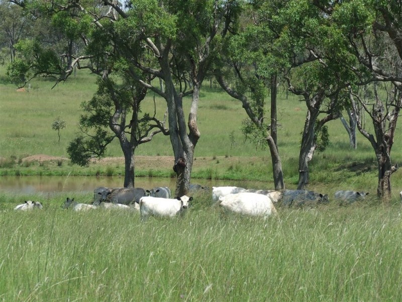 - Goombungee Dam Road, Goombungee QLD 4354