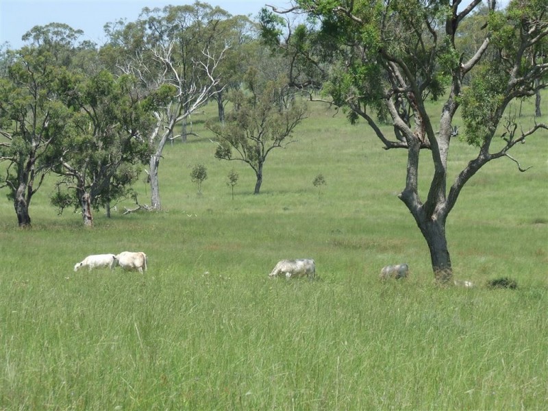 - Goombungee Dam Road, Goombungee QLD 4354