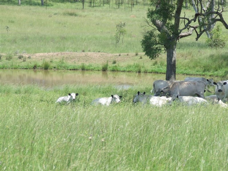 - Goombungee Dam Road, Goombungee QLD 4354