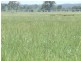 - Goombungee Dam Road, Goombungee QLD 4354