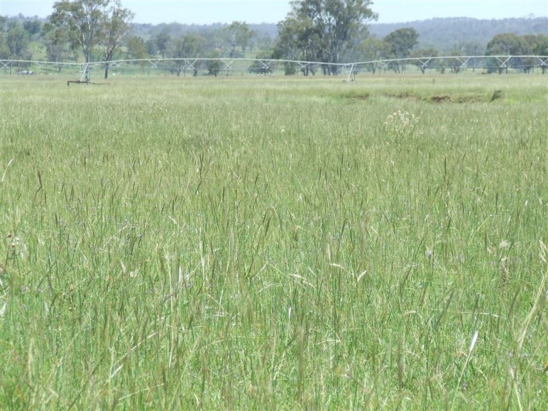 - Goombungee Dam Road, Goombungee QLD 4354
