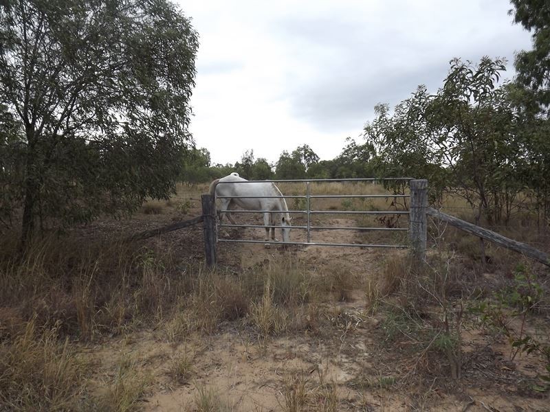 16 Gatton Creek Road, Postmans Ridge QLD 4352
