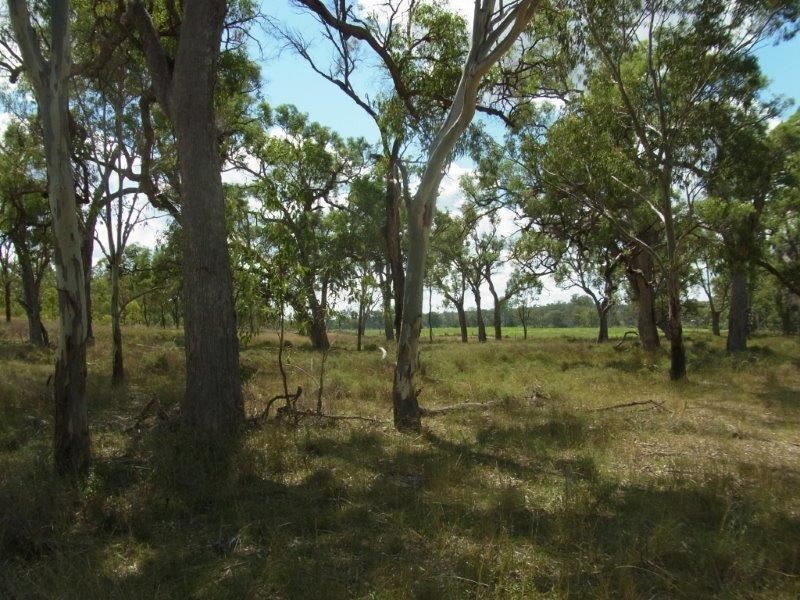 Lot 5 Leyburn Forestry Road, Leyburn QLD 4365