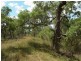 Lot 5 Leyburn Forestry Road, Leyburn QLD 4365