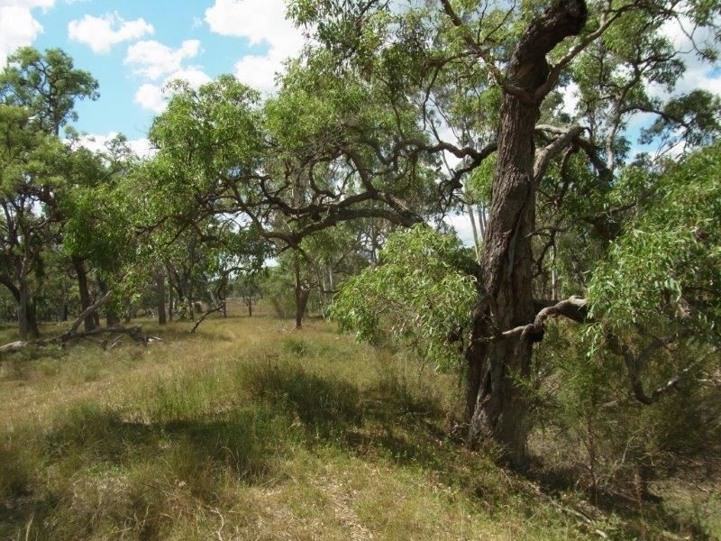 Lot 5 Leyburn Forestry Road, Leyburn QLD 4365