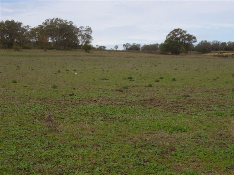 - Metzroth Road, Felton QLD 4358