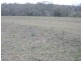 - Metzroth Road, Felton QLD 4358