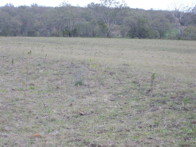 - Metzroth Road, Felton QLD 4358
