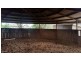 2a McDowall Street, Newtown QLD 4350
