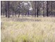Lot 3 Gordon Smiths Road, Goombungee QLD 4354