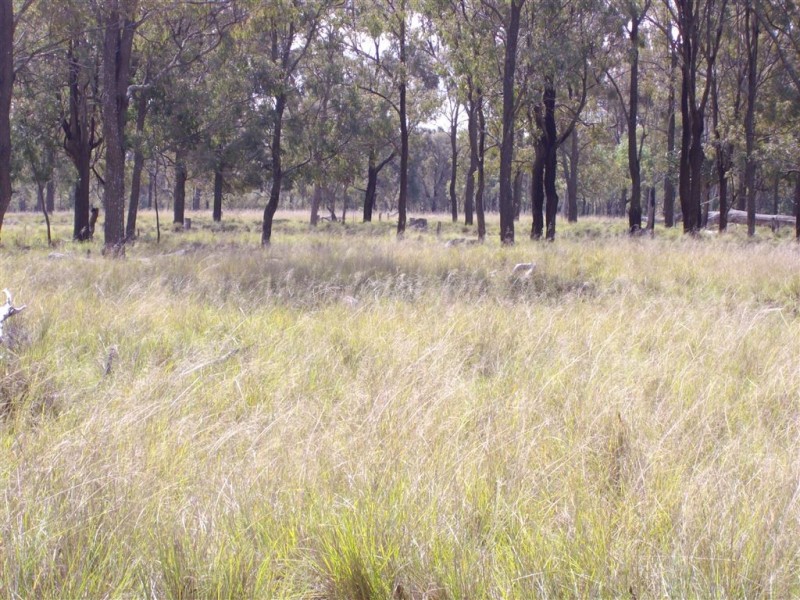 Lot 3 Gordon Smiths Road, Goombungee QLD 4354