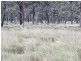 Lot 3 Gordon Smiths Road, Goombungee QLD 4354