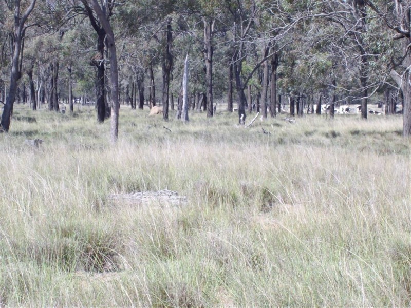 Lot 3 Gordon Smiths Road, Goombungee QLD 4354