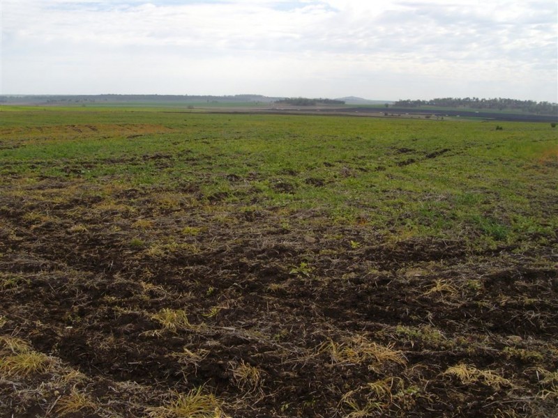 Lot 9 Macdiarmid Road, Cambooya QLD 4358