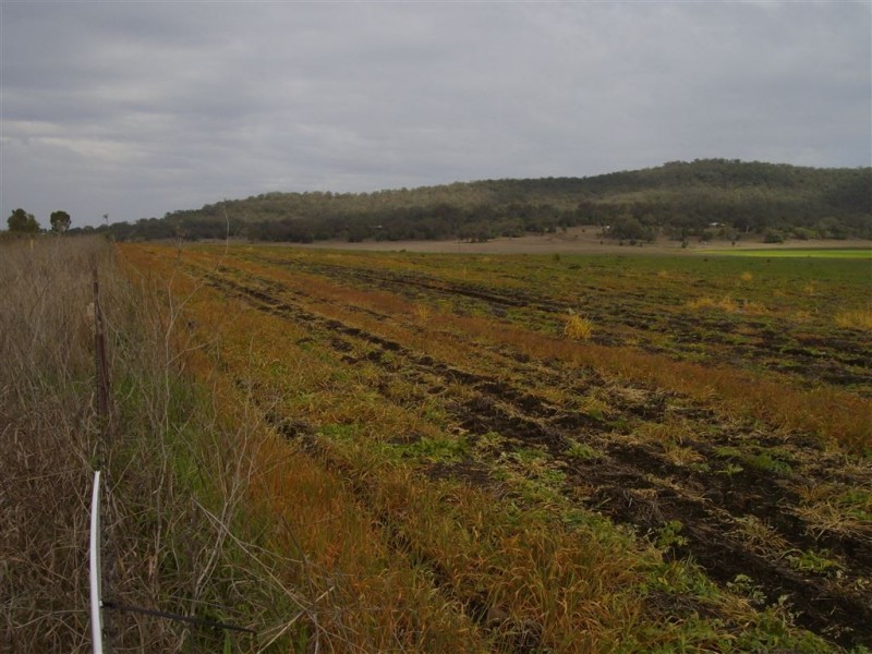Lot 9 Macdiarmid Road, Cambooya QLD 4358