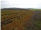 Lot 9 Macdiarmid Road, Cambooya QLD 4358