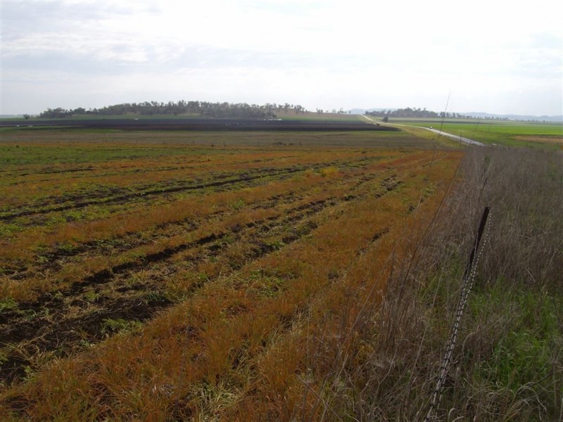 Lot 9 Macdiarmid Road, Cambooya QLD 4358