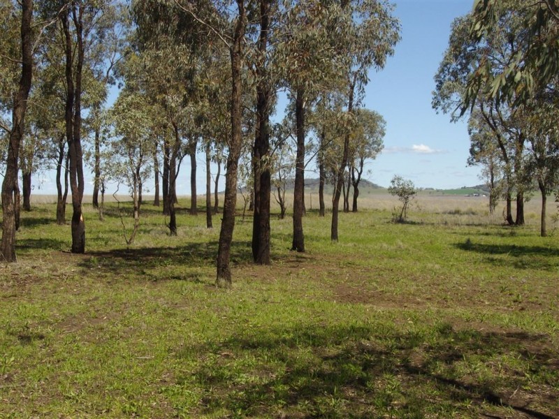 Lot 39 Felton Nobby Road, Nobby QLD 4360